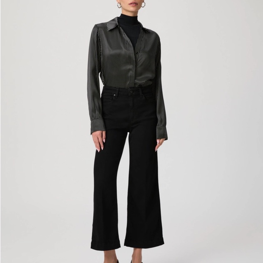 NWT PAIGE Anessa size 27